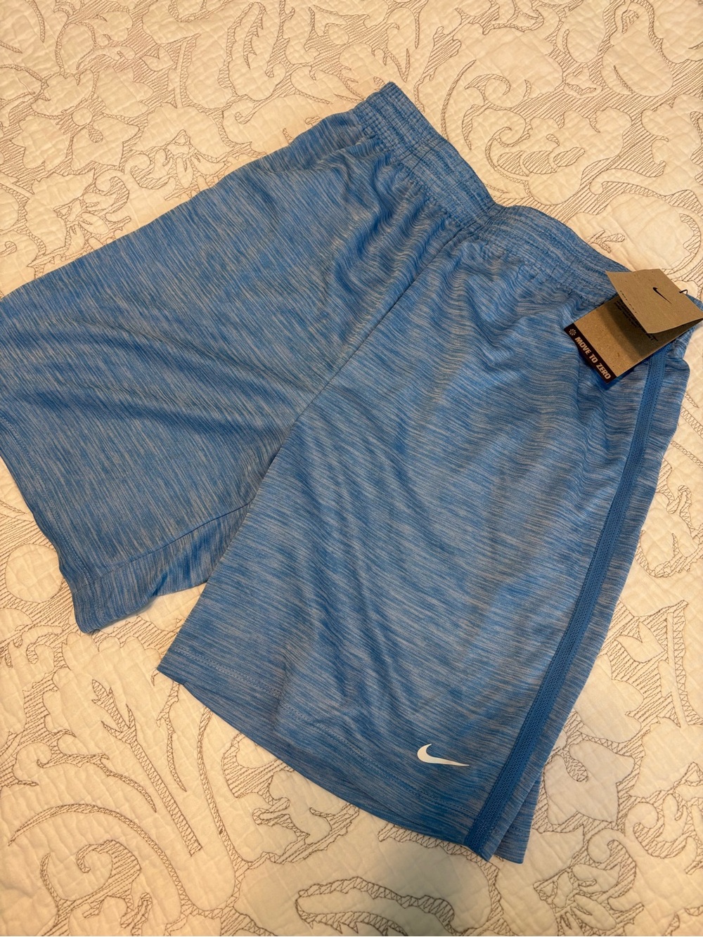 Nike Light Blue Athletic Shorts with Heathered Texture